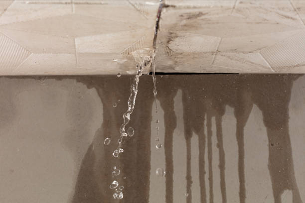 Professional Structural Drying technician working in Braintree, MA